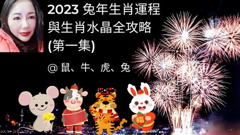 屬鼠水晶2023|2023最準兔年生肖屬鼠、牛、虎、兔、運程與生肖水。